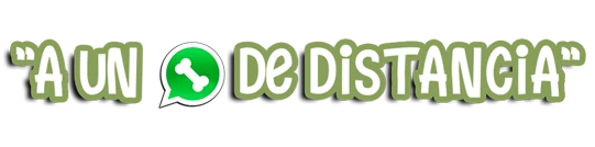 A un WhatsApp de distancia