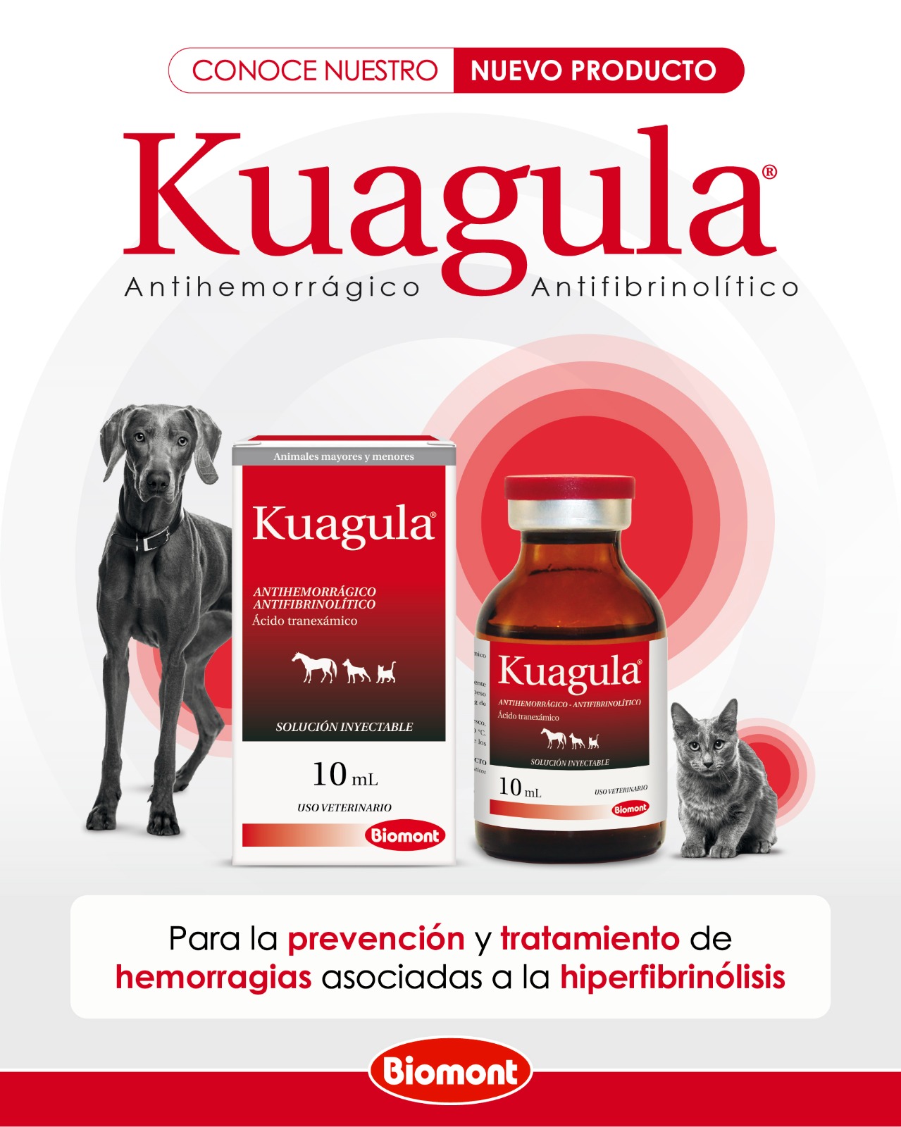 Kuagula