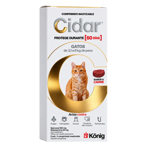 Cidar gato 3.1 a 6 kg