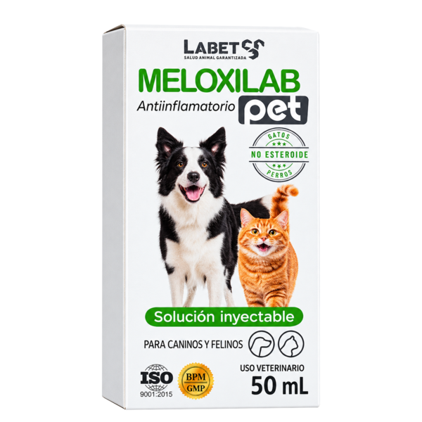 Meloxilab pet
